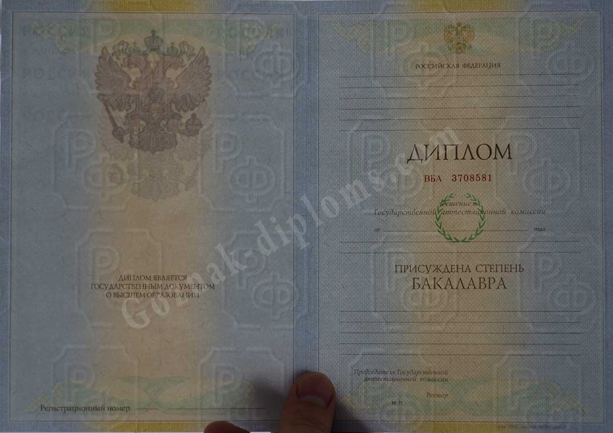 Диплом бакалавра 2010-2013