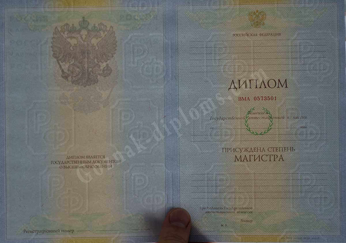 Диплом магистра 2010-2013